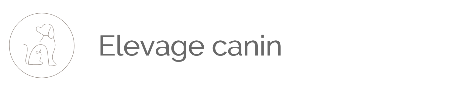 Projet client : Elevage canin