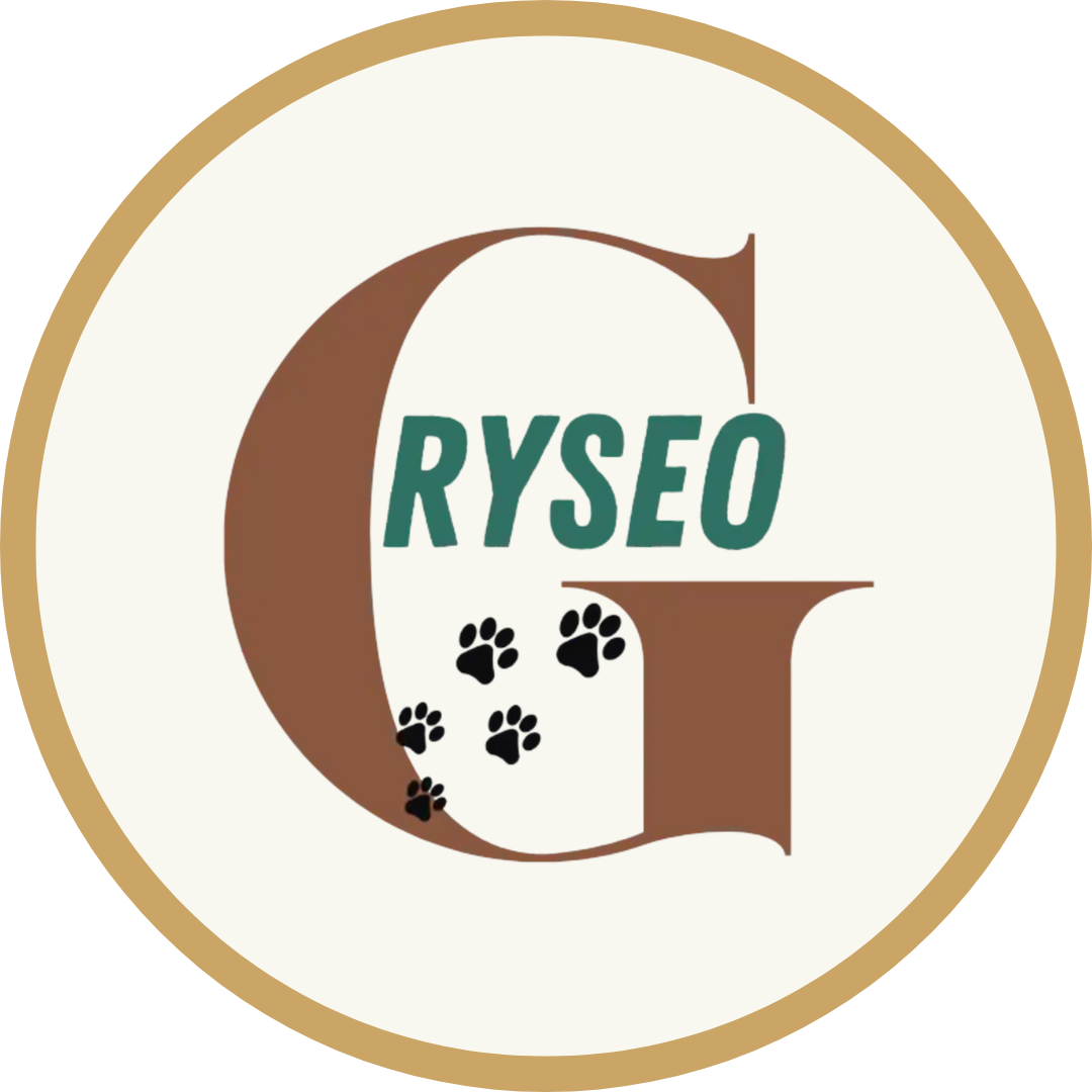 Projet client : Gryseo
